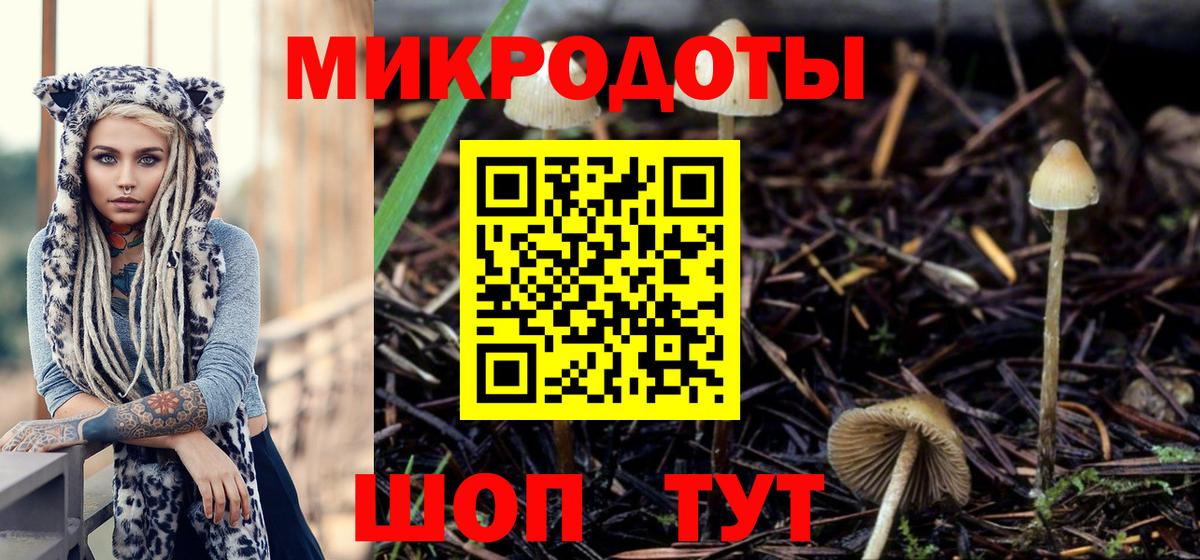 Галлюциногенные грибы мицелий Отрадный