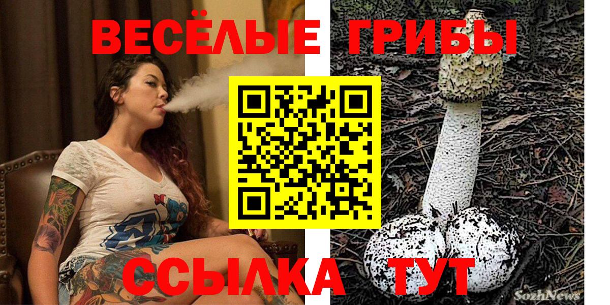 Галлюциногенные грибы мухоморы  Галлюциногенные грибы Cubensis  Вход с VPN  Отрадный 